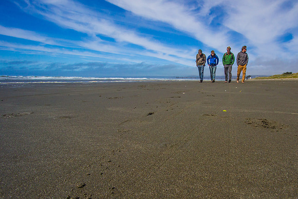 Beach in Chrsitchurch, New Zealand
