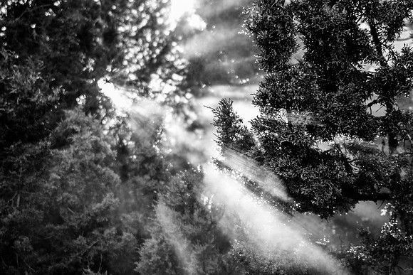 Sunlight Through Steam