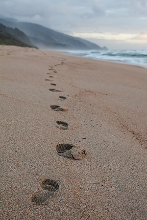 Footprints in the Sand