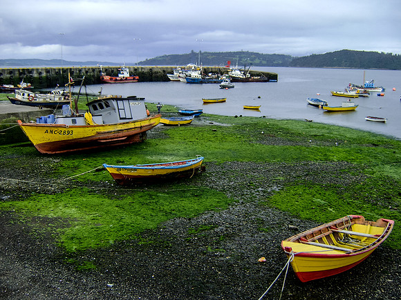 Boats in Low Tide