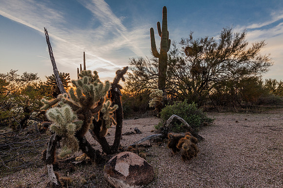 Desert Sunset