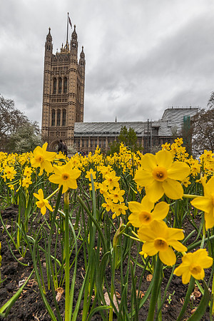 House of Parliament
