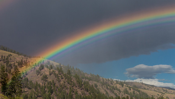 Rainbow